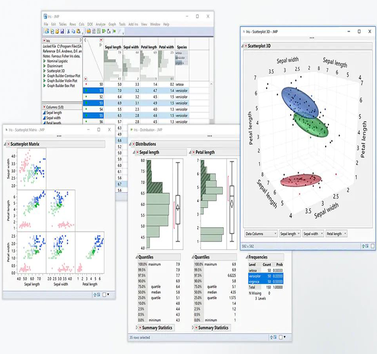 jmp software