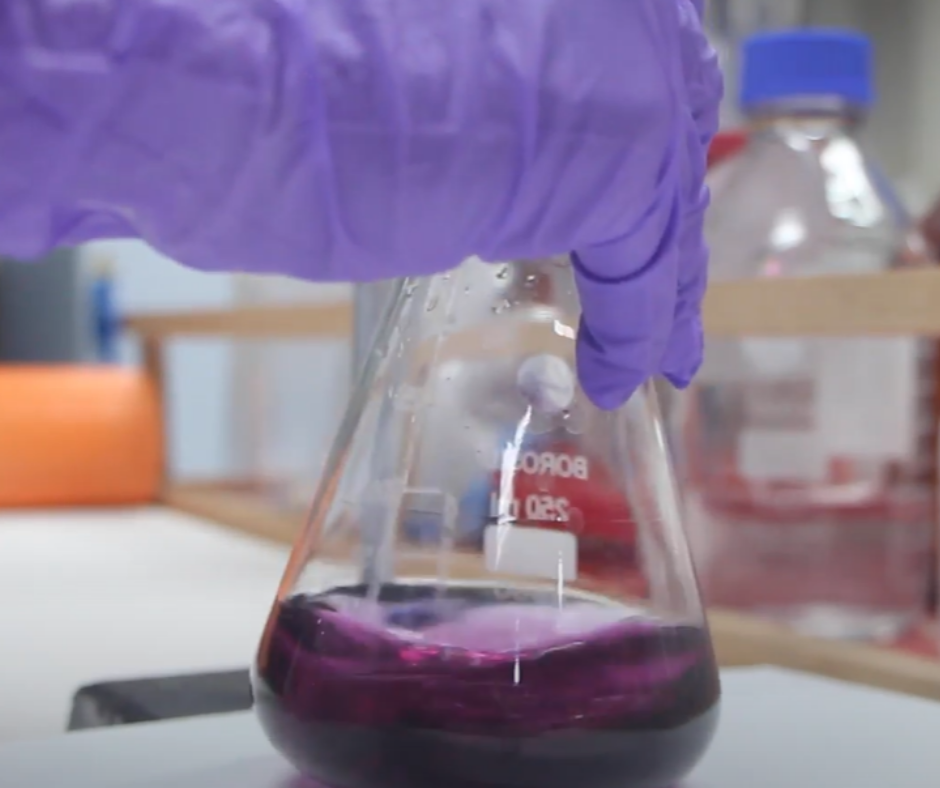 WETLAB (2)